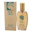 Picture of Elizabeth Arden Blue Grass Women Eau de Parfum 3.4 oz