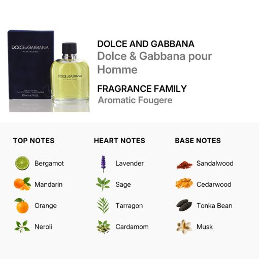 Picture of Dolce & Gabbana Men Eau de Toilette 6.7 oz