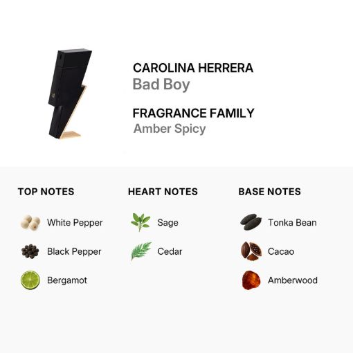 Picture of Carolina Herrera Bad Boy Men Eau de Toilette 3.4 oz