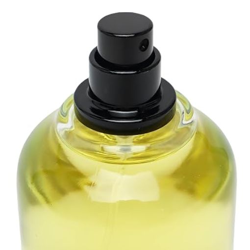 Picture of Maison Alhambra Jean Lowe Immortel Men Eau de Parfum 3.4 oz