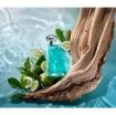Picture of Nautica Classic Men Eau de Toilette 3.4 oz