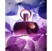 Picture of Afnan Supremacy Women Eau de Parfum 3.4 oz