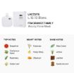 Picture of Lacoste L.12.12 Blanc / Lacoste EDT Spray (white) 5.9 oz (175ml) (m)
