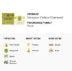 Picture of Versace Yellow Diamond Women Eau de Toilette 1.7 oz
