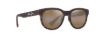 Picture of Maui Jim Maoli Fashion Men's Sunglasses Matte Dark Havana : 52mm, Polycarbonate