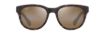 Picture of Maui Jim Maoli Fashion Men's Sunglasses Matte Dark Havana : 52mm, Polycarbonate