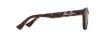 Picture of Maui Jim Maoli Fashion Men's Sunglasses Matte Dark Havana : 52mm, Polycarbonate