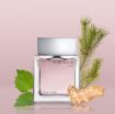 Picture of Euphoria by Calvin Klein EDT 3.3 oz (M)