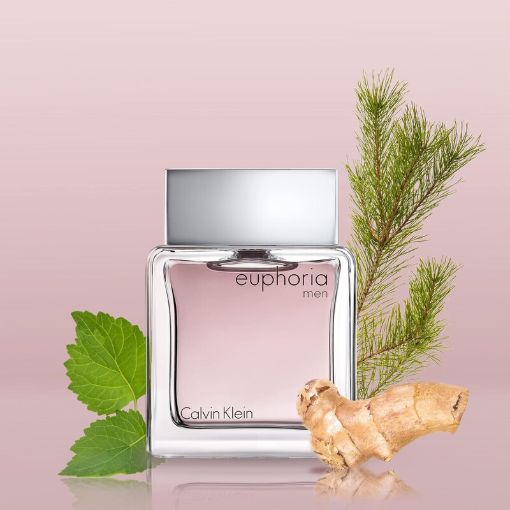 Picture of Euphoria by Calvin Klein EDT 3.3 oz (M)
